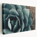 Agave Plant Close-Up Farmhouse Wall Art – Rustic Country Style Decor