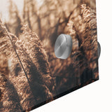 Golden Grass in Sunlight Farmhouse Wall Art – Rustic Country Decor Print