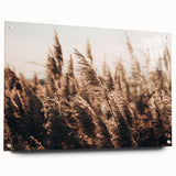 Golden Grass in Sunlight Farmhouse Wall Art – Rustic Country Decor Print