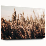 Golden Grass in Sunlight Farmhouse Wall Art – Rustic Country Decor Print
