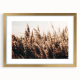 Golden Grass in Sunlight Farmhouse Wall Art – Rustic Country Decor Print