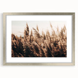 Golden Grass in Sunlight Farmhouse Wall Art – Rustic Country Decor Print