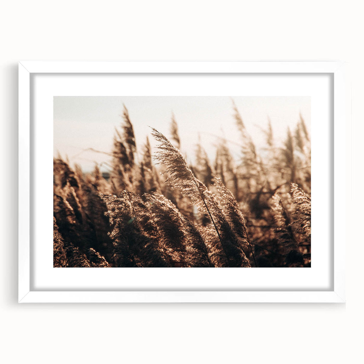 Golden Grass in Sunlight Farmhouse Wall Art – Rustic Country Decor Print