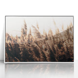 Golden Grass in Sunlight Farmhouse Wall Art – Rustic Country Decor Print