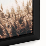 Golden Grass in Sunlight Farmhouse Wall Art – Rustic Country Decor Print