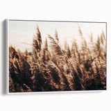 Golden Grass in Sunlight Farmhouse Wall Art – Rustic Country Decor Print