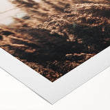 Golden Grass in Sunlight Farmhouse Wall Art – Rustic Country Decor Print