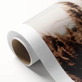 Golden Grass in Sunlight Farmhouse Wall Art – Rustic Country Decor Print