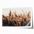 Golden Grass in Sunlight Farmhouse Wall Art – Rustic Country Decor Print