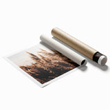 Golden Grass in Sunlight Farmhouse Wall Art – Rustic Country Decor Print