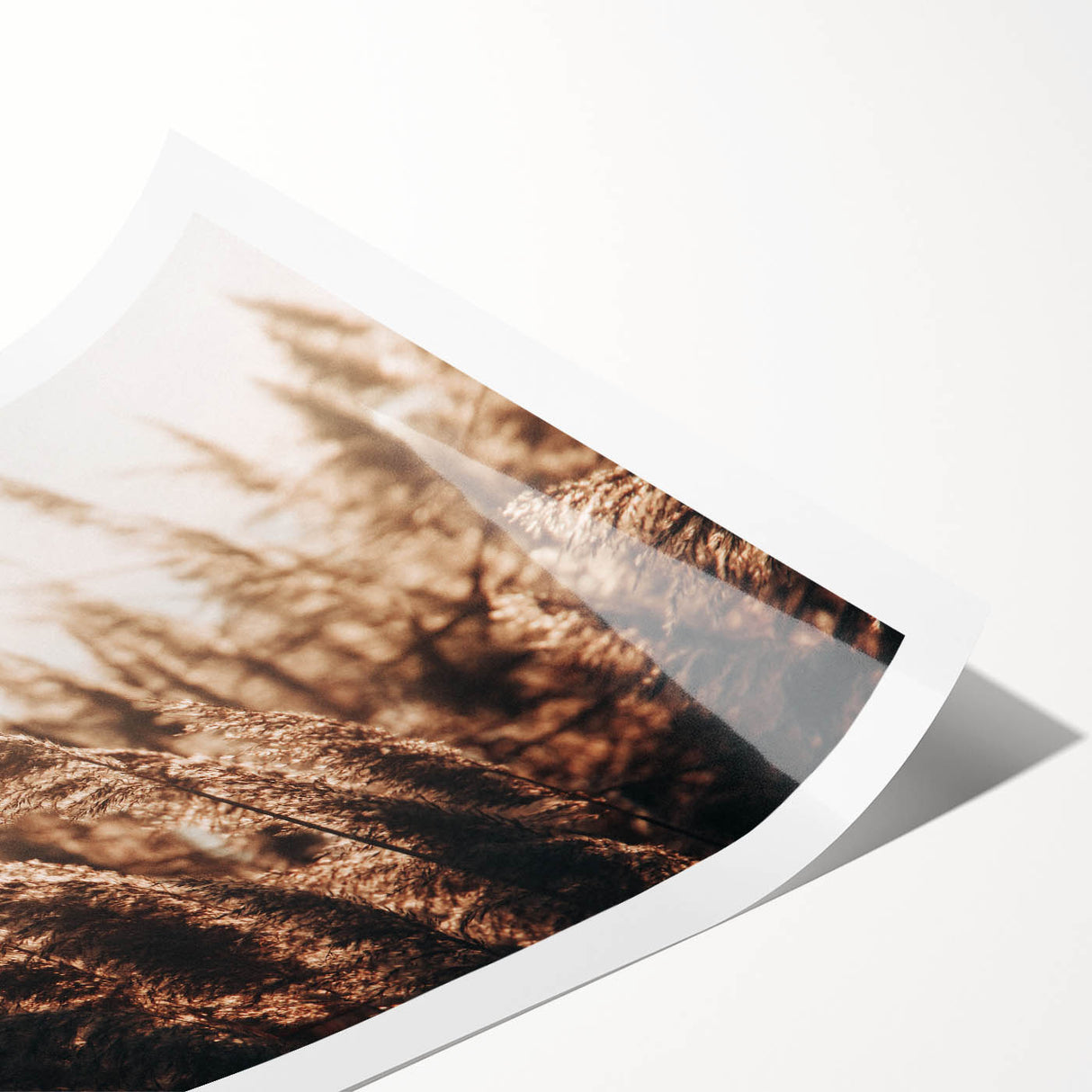 Golden Grass in Sunlight Farmhouse Wall Art – Rustic Country Decor Print