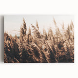 Golden Grass in Sunlight Farmhouse Wall Art – Rustic Country Decor Print