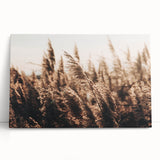 Golden Grass in Sunlight Farmhouse Wall Art – Rustic Country Decor Print