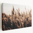 Golden Grass in Sunlight Farmhouse Wall Art – Rustic Country Decor Print