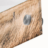 Golden Grass Field Farmhouse Wall Art – Rustic Country Decor Print