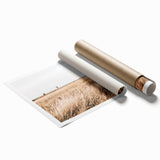 Golden Grass Field Farmhouse Wall Art – Rustic Country Decor Print