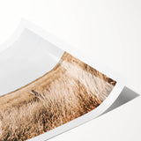 Golden Grass Field Farmhouse Wall Art – Rustic Country Decor Print