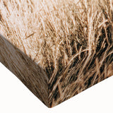 Golden Grass Field Farmhouse Wall Art – Rustic Country Decor Print