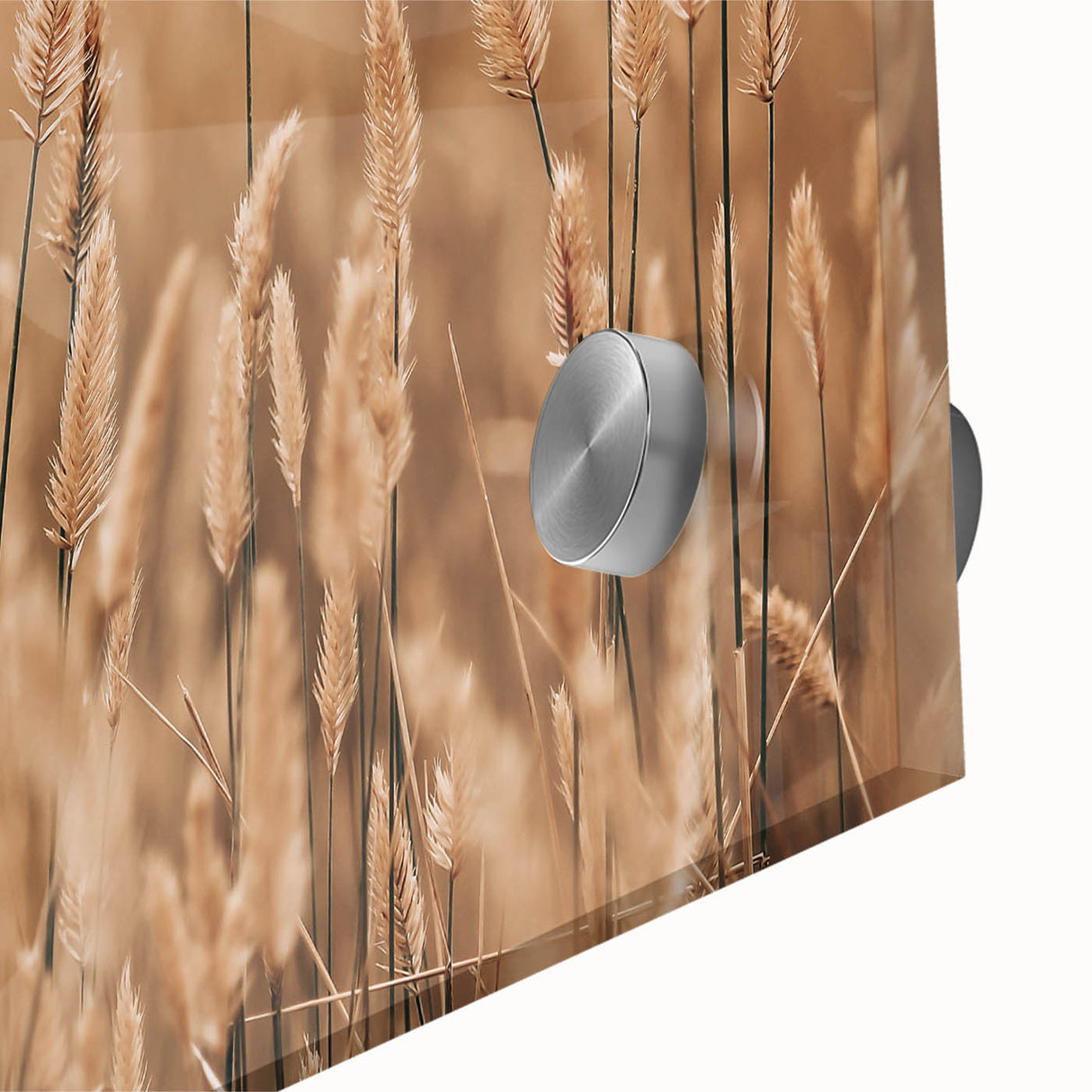 Golden Wheat Field Farmhouse Wall Art – Rustic Country Decor Print