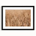 Golden Wheat Field Farmhouse Wall Art – Rustic Country Decor Print