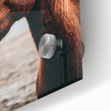 Farmhouse Wall Art - Majestic Horse Portrait Rustic Country Style Decor