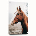 Farmhouse Wall Art - Majestic Horse Portrait Rustic Country Style Decor