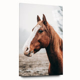 Farmhouse Wall Art - Majestic Horse Portrait Rustic Country Style Decor