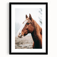 Farmhouse Wall Art - Majestic Horse Portrait Rustic Country Style Decor
