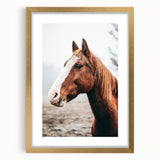 Farmhouse Wall Art - Majestic Horse Portrait Rustic Country Style Decor