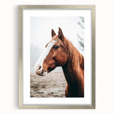 Farmhouse Wall Art - Majestic Horse Portrait Rustic Country Style Decor