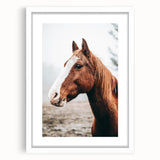 Farmhouse Wall Art - Majestic Horse Portrait Rustic Country Style Decor