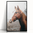 Farmhouse Wall Art - Majestic Horse Portrait Rustic Country Style Decor