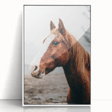 Farmhouse Wall Art - Majestic Horse Portrait Rustic Country Style Decor