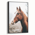 Farmhouse Wall Art - Majestic Horse Portrait Rustic Country Style Decor