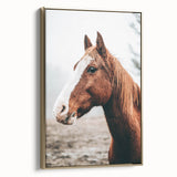 Farmhouse Wall Art - Majestic Horse Portrait Rustic Country Style Decor