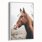 Farmhouse Wall Art - Majestic Horse Portrait Rustic Country Style Decor