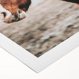 Farmhouse Wall Art - Majestic Horse Portrait Rustic Country Style Decor