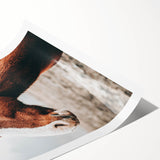 Farmhouse Wall Art - Majestic Horse Portrait Rustic Country Style Decor