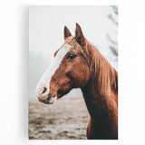 Farmhouse Wall Art - Majestic Horse Portrait Rustic Country Style Decor
