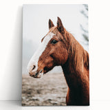 Farmhouse Wall Art - Majestic Horse Portrait Rustic Country Style Decor
