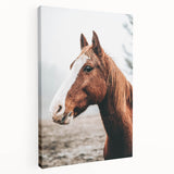 Farmhouse Wall Art - Majestic Horse Portrait Rustic Country Style Decor