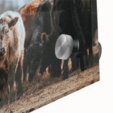 Grazing Cattle Farmhouse Wall Art – Rustic Country Style Decor Print