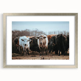 Grazing Cattle Farmhouse Wall Art – Rustic Country Style Decor Print