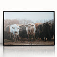 Grazing Cattle Farmhouse Wall Art – Rustic Country Style Decor Print