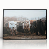 Grazing Cattle Farmhouse Wall Art – Rustic Country Style Decor Print