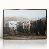 Grazing Cattle Farmhouse Wall Art – Rustic Country Style Decor Print