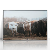 Grazing Cattle Farmhouse Wall Art – Rustic Country Style Decor Print