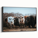 Grazing Cattle Farmhouse Wall Art – Rustic Country Style Decor Print