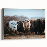Grazing Cattle Farmhouse Wall Art – Rustic Country Style Decor Print