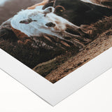 Grazing Cattle Farmhouse Wall Art – Rustic Country Style Decor Print